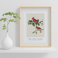 John James Audubon - Cardinal Grosbeak from Birds of America (1827)