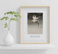 
              Ohara Koson - Bohemian waxwing birds (1900-1930) by Ohara Koson (1877-1945)
            