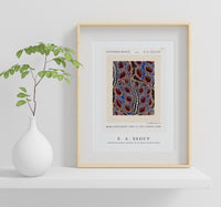 
              E.A.Seguy - Botanical pochoir pattern in Art Deco oriental style
            