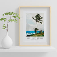 winslow homer - Palm Tree, Nassau-1898