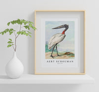 
              Aert chouman - Jabiru-1770
            