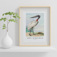 Aert chouman - Jabiru-1770