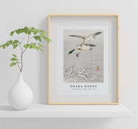 
              Ohara Koson - Two wild ducks in flight (1900 - 1936) by Ohara Koson (1877-1945)
            