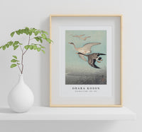 
              Ohara Koson - Great geese in flight (1925 - 1936) by Ohara Koson (1877-1945)
            