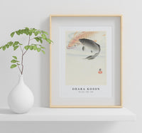 
              Ohara Koson - Two carp (1900 - 1930) by Ohara Koson (1877-1945) (2)
            