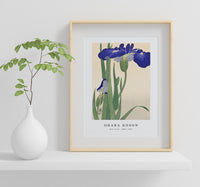 
              Ohara Koson - Blue Irises (1900 - 1930) by Ohara Koson (1877-1945)
            