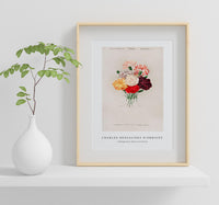 
              Charles Dessalines D'Orbigny - Cabbage Rose (Rosa Centifilia)
            