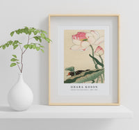 
              Ohara Koson - Gallinule with Lotus Flowers (1900 - 1930) by Ohara Koson (1877-1945)
            