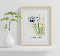 
              Ohara Koson - Irises (1900 - 1936) by Ohara Koson (1877-1945)
            