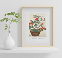 
              Ohara Koson - Blooming azalea in brown pot (1920 - 1930) by Ohara Koson (1877-1945)
            