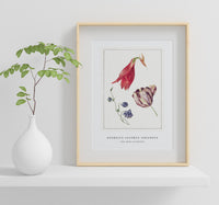 
              Georgius Jacobus Johannes - Tulp, akelei en amaryllis
            