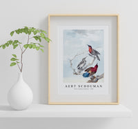
              Aert schouman - Three Crimson Sunbirds-1780
            