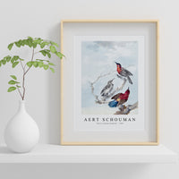 Aert schouman - Three Crimson Sunbirds-1780
