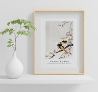 
              Ohara Koson - Two sable red tails with cherry blossom (1900 - 1936) by Ohara Koson (1877-1945)
            