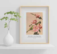 
              Ogawa Kazumasa - Beautiful photomechanical prints of Striped Camellias (1887–1897)
            