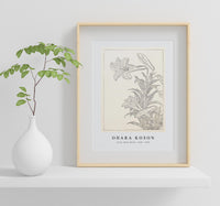 
              Ohara Koson - Lilies, Ohara Koson (1920 - 1930) by Ohara Koson (1877-1945)
            