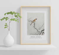
              Ohara Koson - Bohemian bird on snowy branch (1900 - 1930) by Ohara Koson (1877-1945)
            