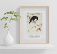
              Ohara Koson - Crow with kaki fruit (1900 - 1910) by Ohara Koson (1877-1945)
            