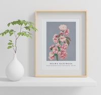
              Ogawa Kazumasa - Beautiful photomechanical prints of Cherry Blossom (1887–1897)
            