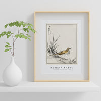 Numata Kashu - Chinese Tree-Pipit and Wheat illustration from Pictorial Monograph of Birds (1885)