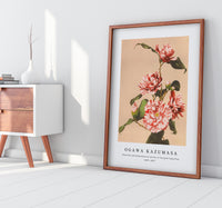 
              Ogawa Kazumasa - Beautiful photomechanical prints of Striped Camellias (1887–1897)
            