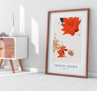 
              Shibata Zeshin - Maple Leaves
            