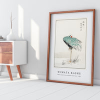 Numata Kashu - White-naped Crane and New Years Fern illustration from Pictorial Monograph of Birds (1885)