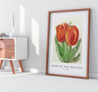 
              Sientje Van Houten - Two Red Tulips
            