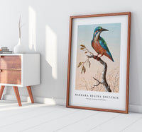 
              Barbara Regina Dietzsch - IJsvogel (Common Kingfisher)
            