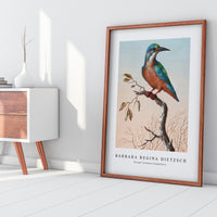 Barbara Regina Dietzsch - IJsvogel (Common Kingfisher)