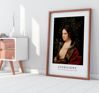 
              Giorgione - Portrait of a Young Woman (Laura) 1506
            