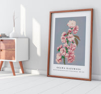 
              Ogawa Kazumasa - Beautiful photomechanical prints of Cherry Blossom (1887–1897)
            