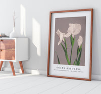 
              Ogawa Kazumasa - Beautiful photomechanical prints of White Irises (1887–1897)
            