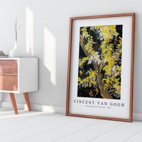 Vincent Van Gogh - Blossoming Acacia Branches 1890