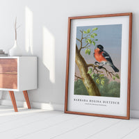 Barbara Regina Dietzsch - Goudvink (Eurasian Bullfinch)