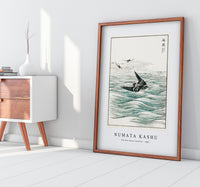 
              Numata Kashu - Riu Kiu House Swallow illustration from Pictorial Monograph of Birds (1885)
            