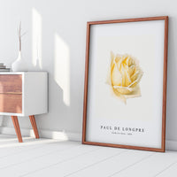 Paul de longpre - Study of a Rose (ca. 1898)