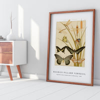 Maurice Pillard Verneuil - Papillons from L'animal dans la décoration (1897)