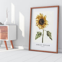 Johan Teyler - A sunflower