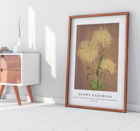 
              Ogawa Kazumasa - Beautiful photomechanical prints of Three Yellow Chrysanthemums (1887–1897)
            