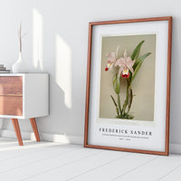 Frederick Sander - Cattleya ballantiniana from Reichenbachia Orchids-1847-1920