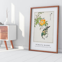 Numata Kashu - Grey Starling and Cercidiphyllum Japonicum illustration from Pictorial Monograph of Birds (1885)