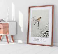 
              Ohara Koson - Bohemian bird on snowy branch (1900 - 1930) by Ohara Koson (1877-1945)
            