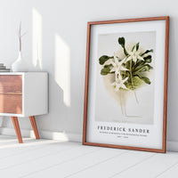 Frederick Sander - Aeranthus sesquipedalis from Reichenbachia Orchids-1847-1920