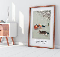 
              Ohara Koson - Mandarin ducks (1925 - 1936) by Ohara Koson (1877-1945)
            
