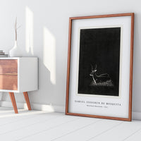 Samuel Jessurun De Mesquita - Waterbuck (Waterbok) (1921)